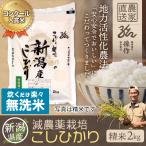 無洗米 新潟県産 コシ