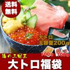食品 海鮮 おつまみ ギフト 海鮮丼 海鮮福袋 お取り寄せ マグロ刺身 訳あり 本マグロ大トロ 無添加うに 北海道産いくら