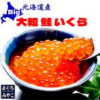 北海道産 鮭の大粒イクラ醤油漬け 5