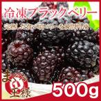 冷凍 ブラックベリー 500g×1 冷凍フルーツ ヨナナス