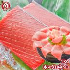 (マグロ まぐろ 鮪) 本まぐろ 中トロ 1kg (本マグロ 本鮪 刺身) 単品おせち 海鮮おせち