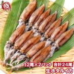 高級グレード生ホタルイカほたるいか...