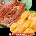 お中元うにうなぎセット超特大国産う...