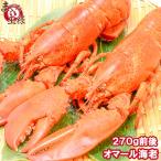 オマール海老 ロブスター 1尾 (BBQ バーベキュー)