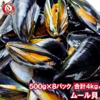  двустворчатая ракушка 4kg 500g×8 упаковка Boyle . есть двустворчатая ракушка 