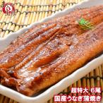 超特大 国産うなぎ蒲焼き 平均250g前後×6尾 タレ付き (国産 うなぎ ウナギ 鰻)