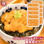 生ウニ 生うに 冷凍 無添加 天然 1kg 100g×10パック(ウニ うに 雲丹) 単品おせち 海鮮おせち