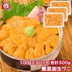 生ウニ 生うに 冷凍 無添加 天然 300g 100g×3パック(ウニ うに 雲丹) 単品おせち 海鮮おせち