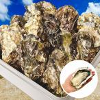 牡蠣 カンカン焼き セット 特大LLサイズ 殻付き 冷凍 牡蠣 広島県産 総重量3kg 海鮮 バーベキュー 18個前後 BBQ かんかん焼き ガンガン焼き アウトドア 家キャン