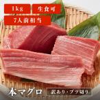 マグロ 訳あり 刺身 本マグロ 1kg 業務用 ブツ切り 7人前相当 刺身用 お取り寄せ 冷凍鮪 本鮪