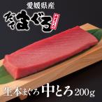 生本マグロ（だてまぐろ）中とろ200