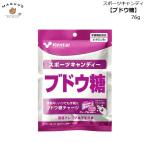 スポーツキャンディー ブドウ糖ビタミンB1  グレープ味 76g　kentai ケンタイ 健康体力研究所 【ポスト投函便(5個まで)】