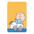 PEANUTS.... смешанный ассортимент магазин стикер (3)