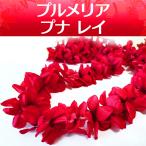  хула pna Ray плюмерия wine red пунцовый красный мягкость 112cm Kei ki. возможно для мужчин и женщин Hawaiian 