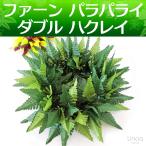 フラダンス ハク シダ パラパライ ファーン ハクレイ (レイポオ) ヘッドバンド やわらかダブル (2トーン) 56cm 伸縮性 フリーサイズ タヒチダンス