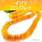 フラ 王族のアリイ イリマ レイ ( イエロー ＆ オレンジ グラデーション ) ハワイアン 150cm ロングレイ