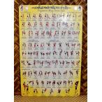  жестяная пластина табличка me Thai 85 рука старый тип 30cm*20cm Thai Land Asian этнический Юго-Восточная Азия кикбоксинг 