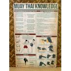  жестяная пластина табличка me Thai. unchik30cm*20cm импортные товары Thai Land Asian этнический Юго-Восточная Азия кикбоксинг 