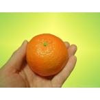  брать мандарин / фокус Magic сопутствующие товары 