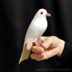  рука клей резина голубь DX / фокус Magic сопутствующие товары 