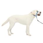 PetSafe домашнее животное safe jentoru Leader head цвет quick release (L королевский синий )