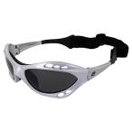 Birdz Eyewear 偏光ゴーグル カイトサー