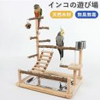  длиннохвостый попугай игрушка bird игрушка птица. гнездо качели жердочка подставка . дерево подвешивание ниже .. игрушка -тактный отсутствует аннулирование посуда имеется se регулирование длиннохвостый попугай документ птица попугай соответствует птица сопутствующие товары 