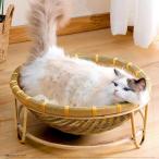  кошка ... собака bed весна лето кошка ... гамак модель ... кошка bed домик для кошек домашнее животное bed корзина ротанг способ кошка для house собака для спальное место домашнее животное спальное место 