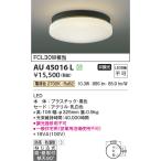 コイズミ照明　AU45016L　軒下シーリング 天井直付・壁付取付 LED一体型 電球色 防雨・防湿型 ブラック ∽