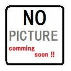 ダイキン 空気清浄機用交換フィルター バイオ抗体フィルター 【KAF029A4】 [■]