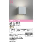 オーデリック　OG254381R　エクステリア ポーチライト LED一体型 電球色 上下配光 防雨型 マットシルバー