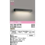 オーデリック OG254877R エクステリア 表札灯 LED一体型 電球色 下面配光 防雨型 ブラック