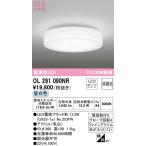 オーデリック OL291090NR(ランプ別梱) シーリングライト 非調光 LEDランプ 昼白色