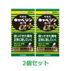 [ no. 2 вид фармацевтический препарат ][. мир ]kyabe Gin ko-waα плюс 300 таблеток [2 шт. комплект ]<br>[3 комплектов и больше покупка бесплатная доставка будет ( Okinawa * Hokkaido * исключая отдаленные острова )]