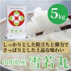特売　山形県産　雪若