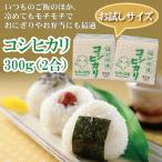 お米 米 300g 福井県産 