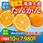 たんかん 奄美大島 10kg 訳あり 家庭用 みかん 鹿児島産 完熟 予約販売 送料無料 人気 2月中旬以降発送