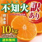みかん　不知火　デコポン　10kg　 訳あり　家庭用 　送料無料  熊本産　サイズM〜2L　混合 小傷あり黒ずみありデコ無し　お買得品 完熟 フルーツ 果物 蜜柑