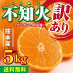 みかん　不知火　デコポン　5kg　 訳あり　家庭用 　送料無料  熊本産　サイズM〜2L　混合 小傷あり黒ずみありデコ無し　お買得品 完熟 フルーツ 果物 蜜柑