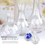 酒器 冷酒 ガラス製 氷 ポケット ウ