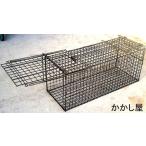 小動物キャッチャー２４型　エサ吊