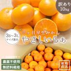 訳あり 栽培期間中農薬不使用 無肥料 三ヶ日 早生 みかん 10kg 送料無料 訳あり やさしいらぁ 3S 〜 3L サイズ不揃い 無農薬 自然栽培