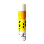 Yahoo! Yahoo!ショッピング(ヤフー ショッピング)カーレックス・スプレー 600ml