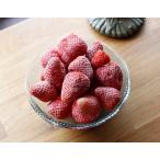 冷凍いちご　（1kg）　国産　無添加　お子様のおやつやデザートに最適　