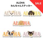 [ALOHA DOG.. Chan стикер ]5 вид [ чихуахуа игрушка пудель French brudok Dux fndo yoke автомобиль терьер aro - стикер наклейка машина ]