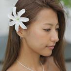 ハワイアンジュエリー jewelry ヘアクリップ シングル ティアレヘアクリップ 太いタイプ 髪飾り フラダンス タヒチアンダンス TI-002 メンズ レディース