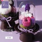 プリザーブドフラワー 仏花 お供え 仏壇 ガラスドーム ケース入り 紫苑 小 S ミニ 単品  お供え花 新盆 花 初盆 仏壇 法事 供花 お盆 お彼岸 命日 法要