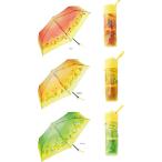 リプトン クリアアンブレラ　because　折傘　コンパクト　雨傘　折りたたみ傘　かさ　袋　雨具