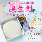 一升餅 誕生餅 ふみもち 1歳お祝い 白のみ1升 赤飯 わらじ 風呂敷 えらびとりカード お名前誕生日入 レシピ 小分け袋付 店頭受取可