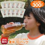 麦茶 パック 500ml ペットボトル 300本 作れる 細長 ティーバッグ お徳用セット ノンカフェイン 手作り 送料無料